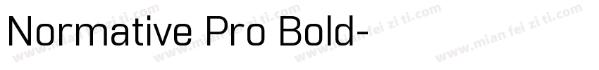Normative Pro Bold字体转换